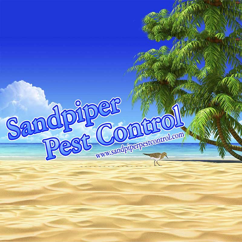 Sandpiper-Pest-Control sponsors Blue Water Open